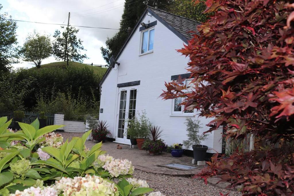 Garn Lodge Newtown (Powys) Exterior foto