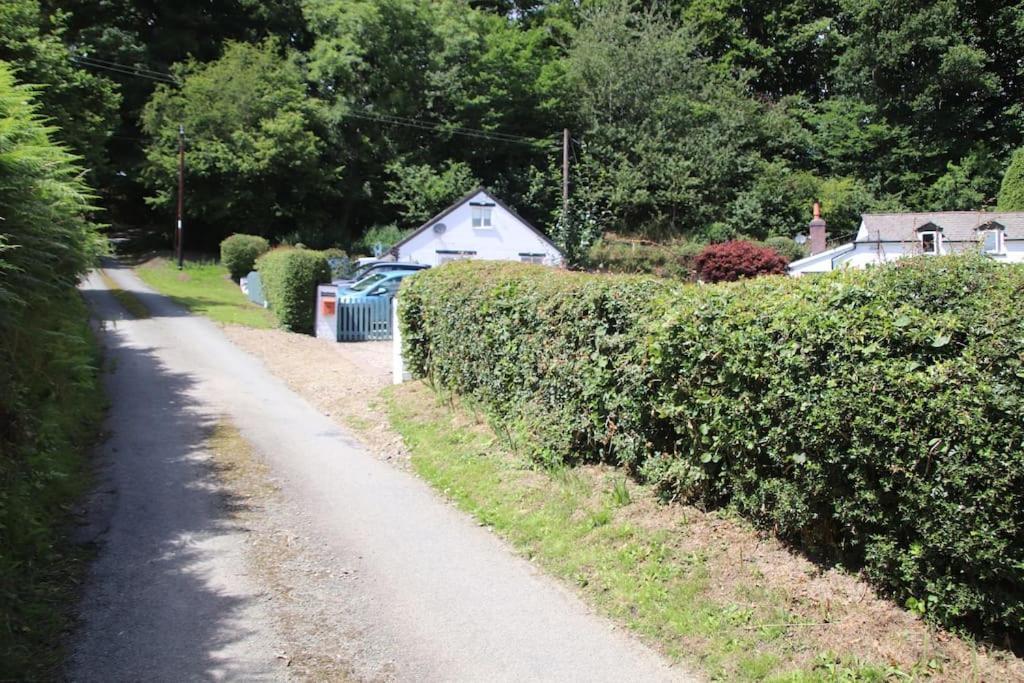 Garn Lodge Newtown (Powys) Exterior foto
