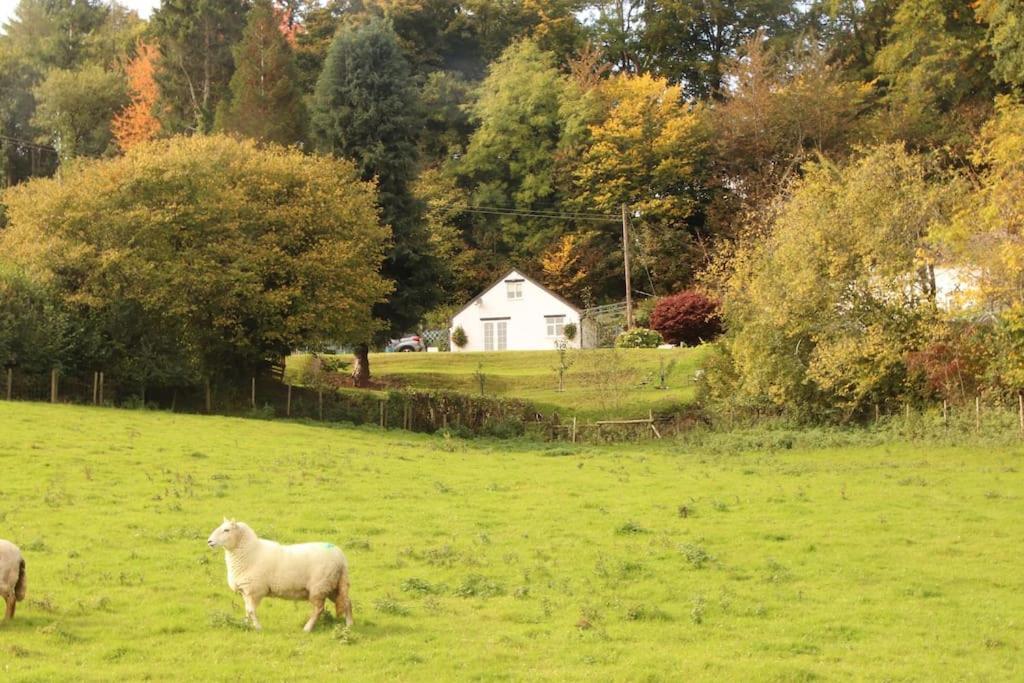 Garn Lodge Newtown (Powys) Exterior foto