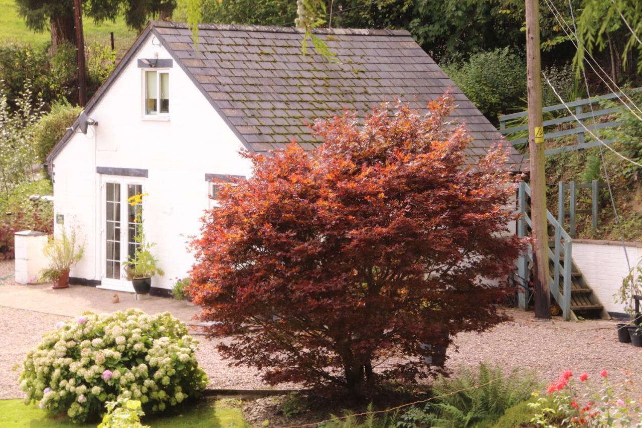 Garn Lodge Newtown (Powys) Exterior foto